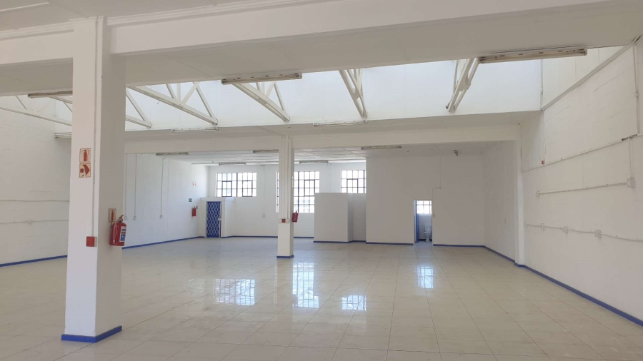To Let commercial Property for Rent in Observatory Western Cape